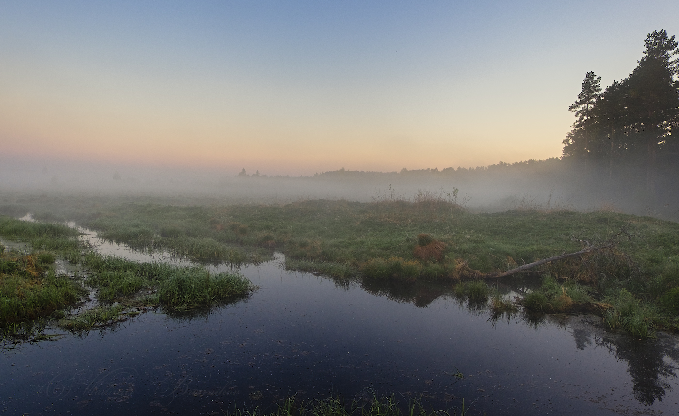Рассвет на лесной речке