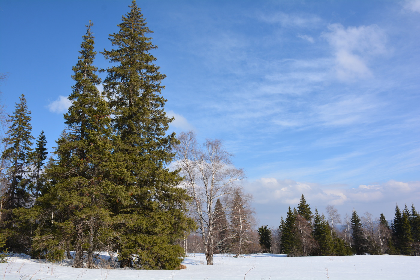 Дыхание весны.
