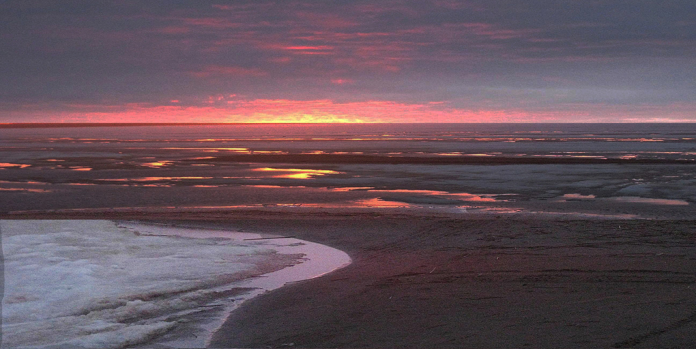 прочерки весны