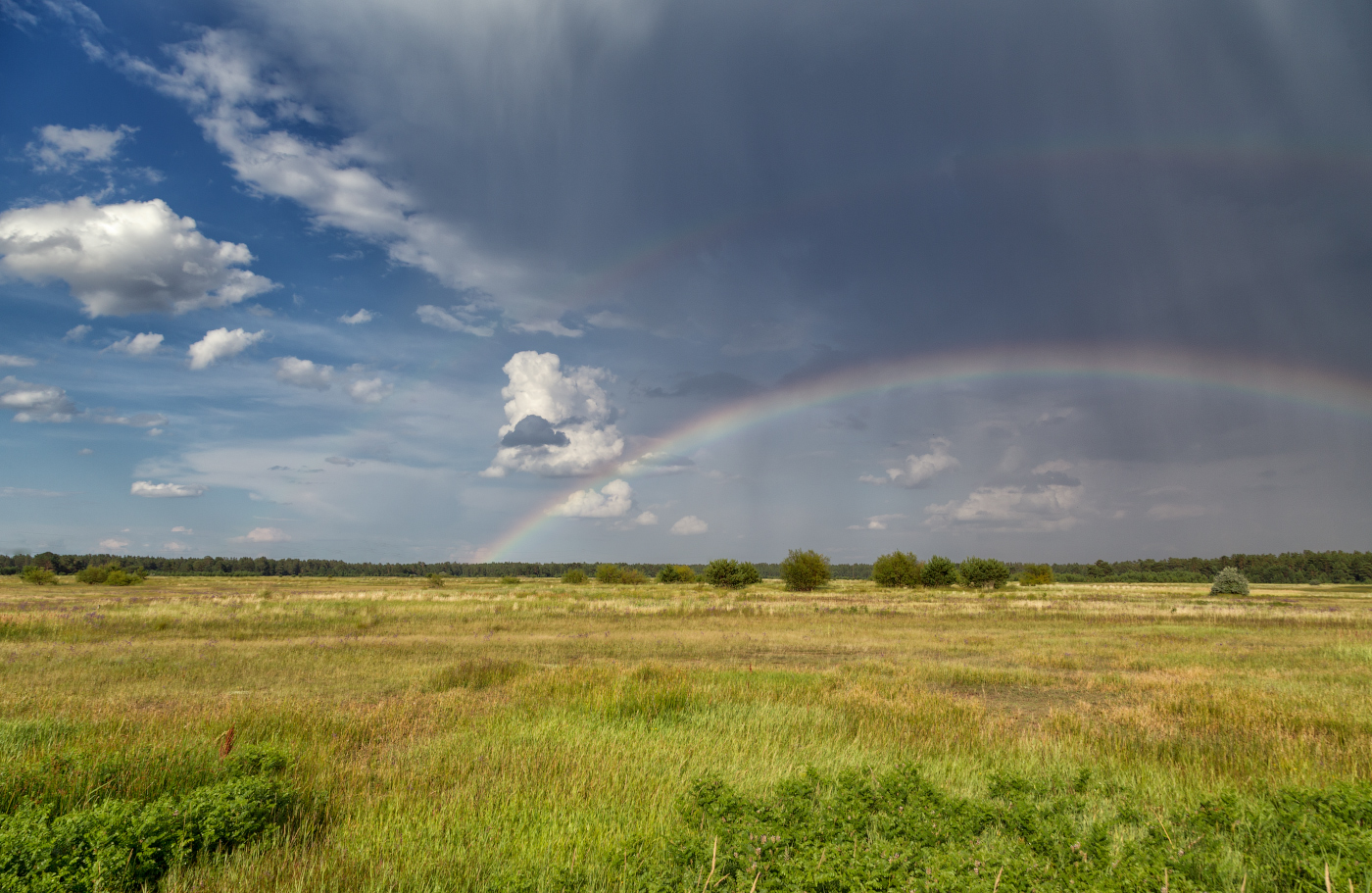 Перед грозой