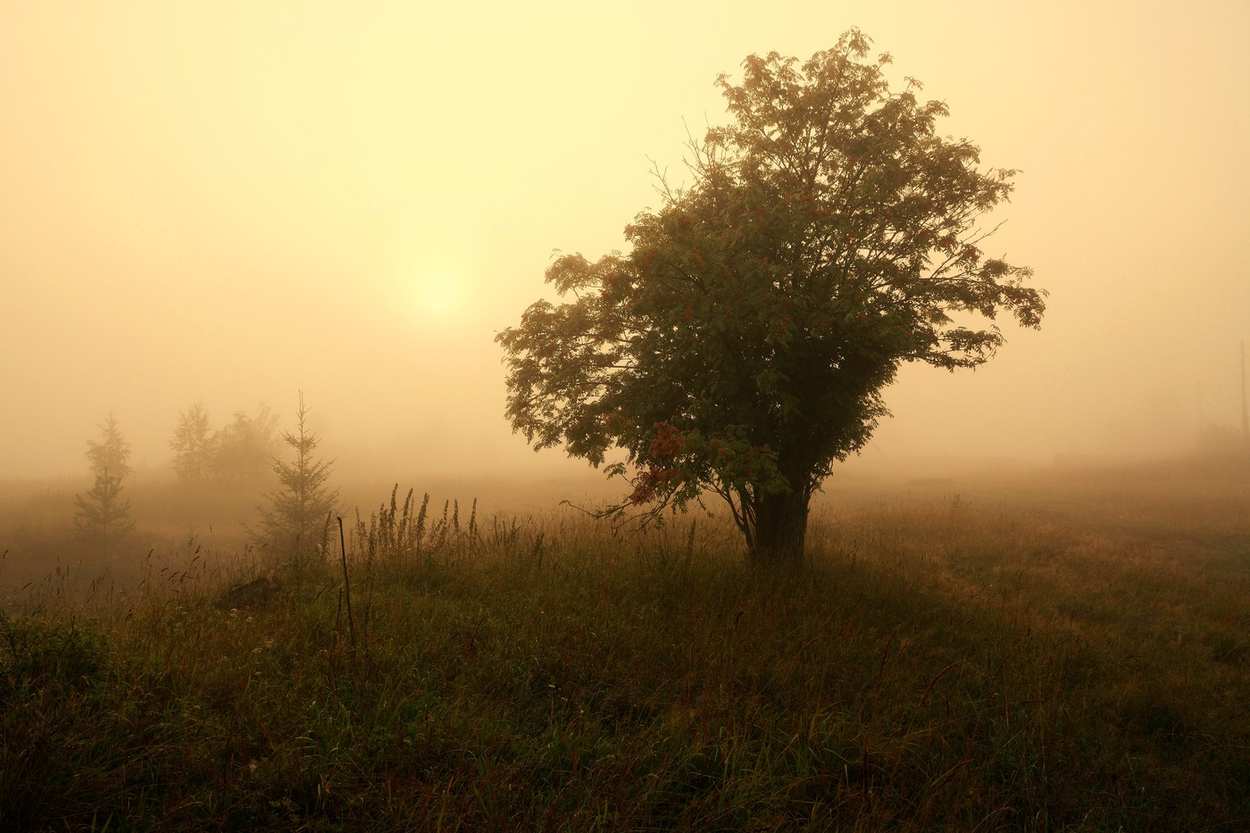 "На небе солнце выглядит устало ..."