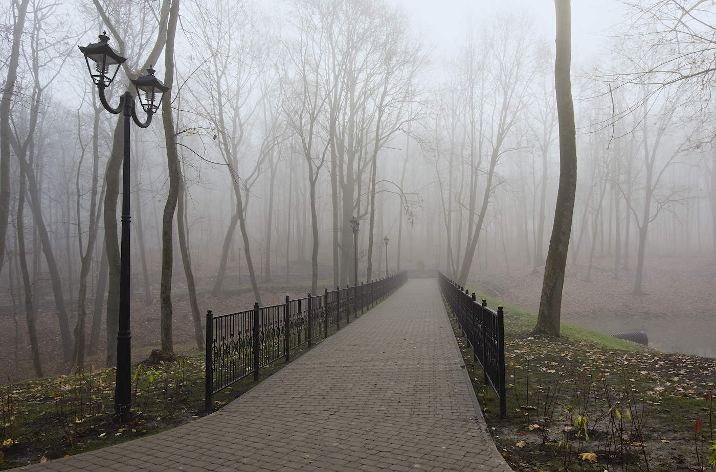 Осенними дорожками парка