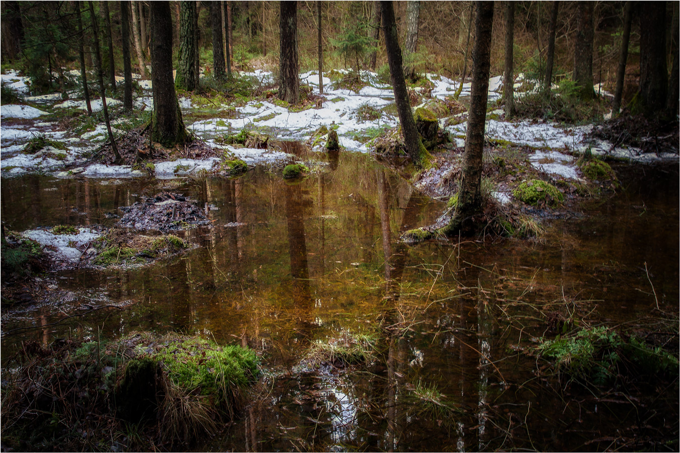 Гиблое место