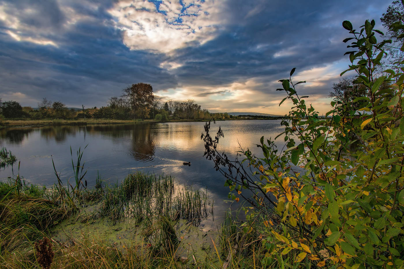 Вечерняя прогулка