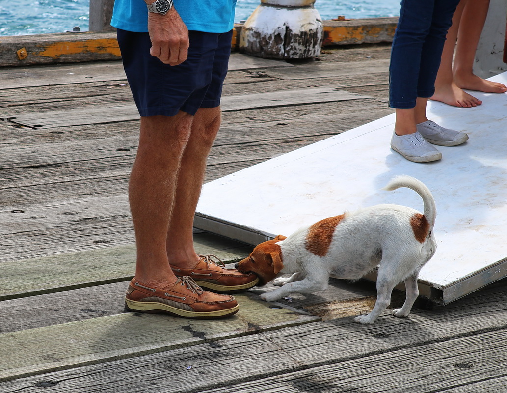 От первого лица