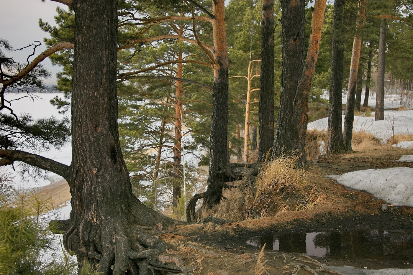 Ранняя весна.