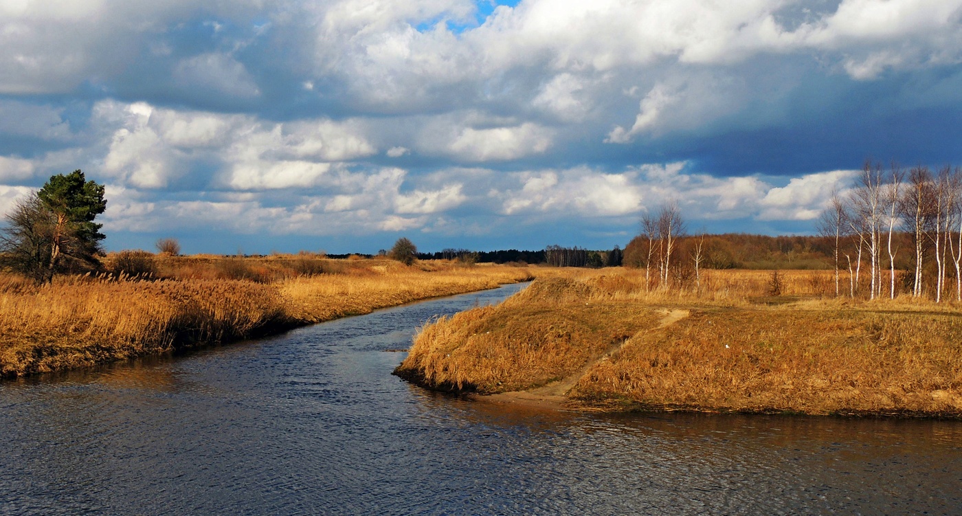 Вешние воды...
