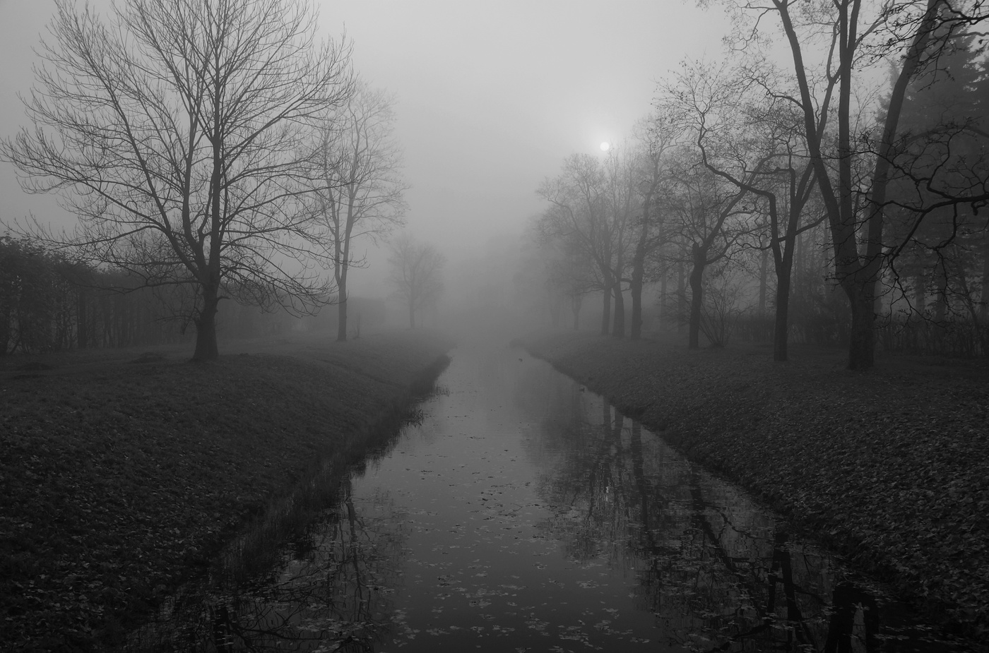 Тревожное утро...