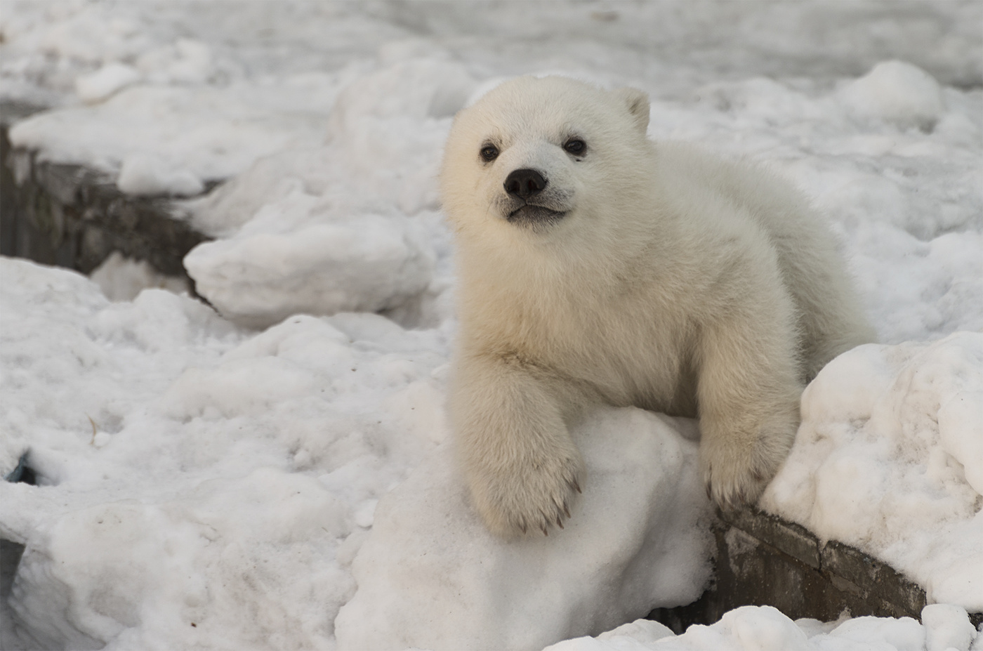 От первого лица