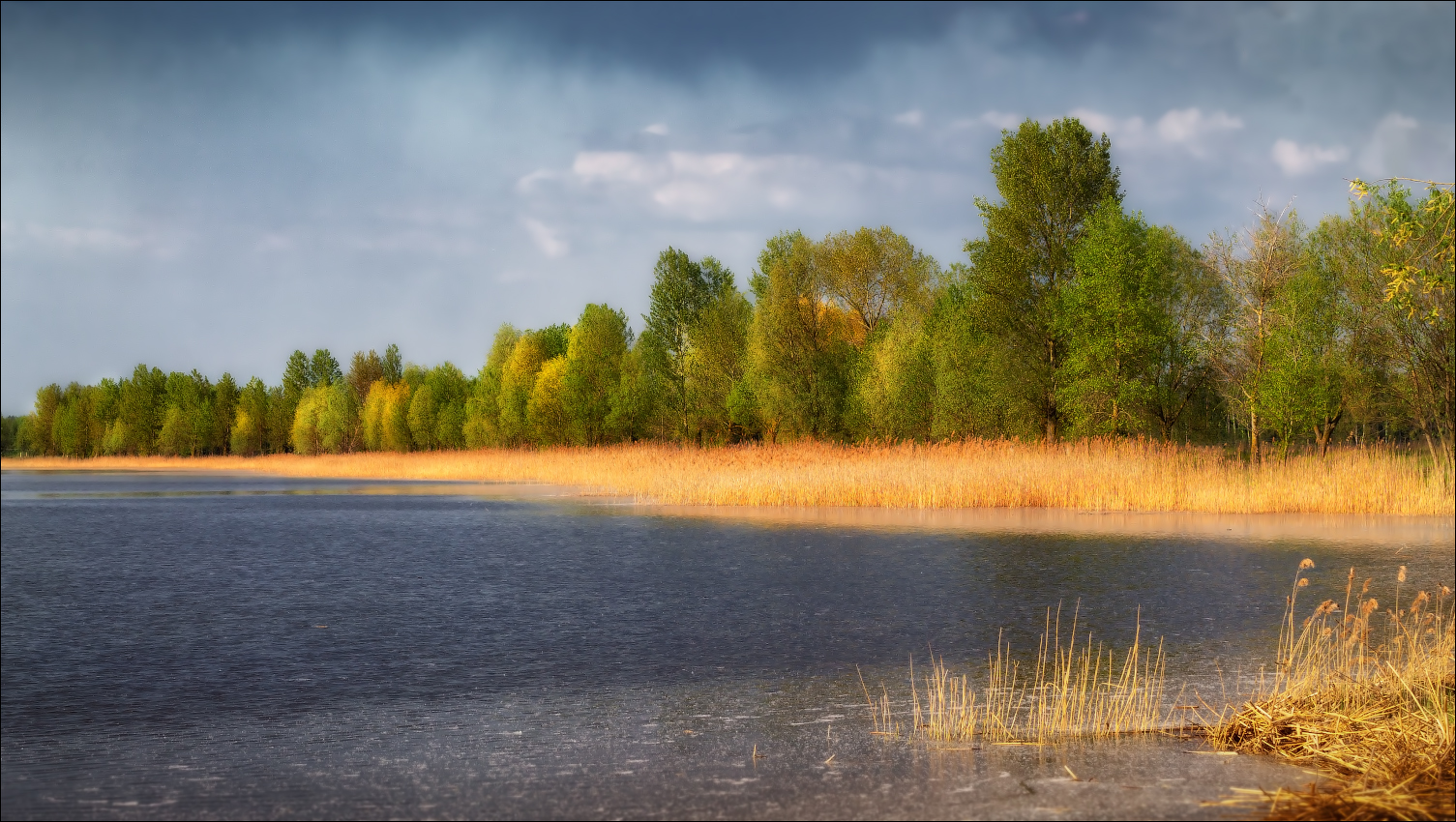 Перед дождем