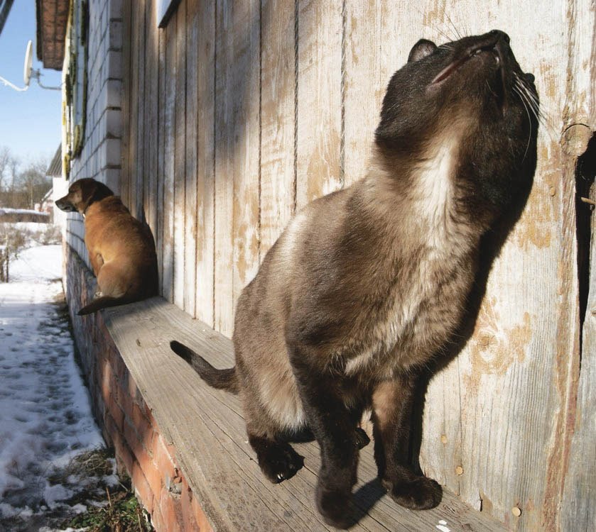 От первого лица