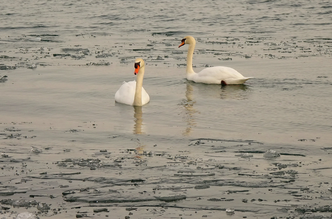 От первого лица