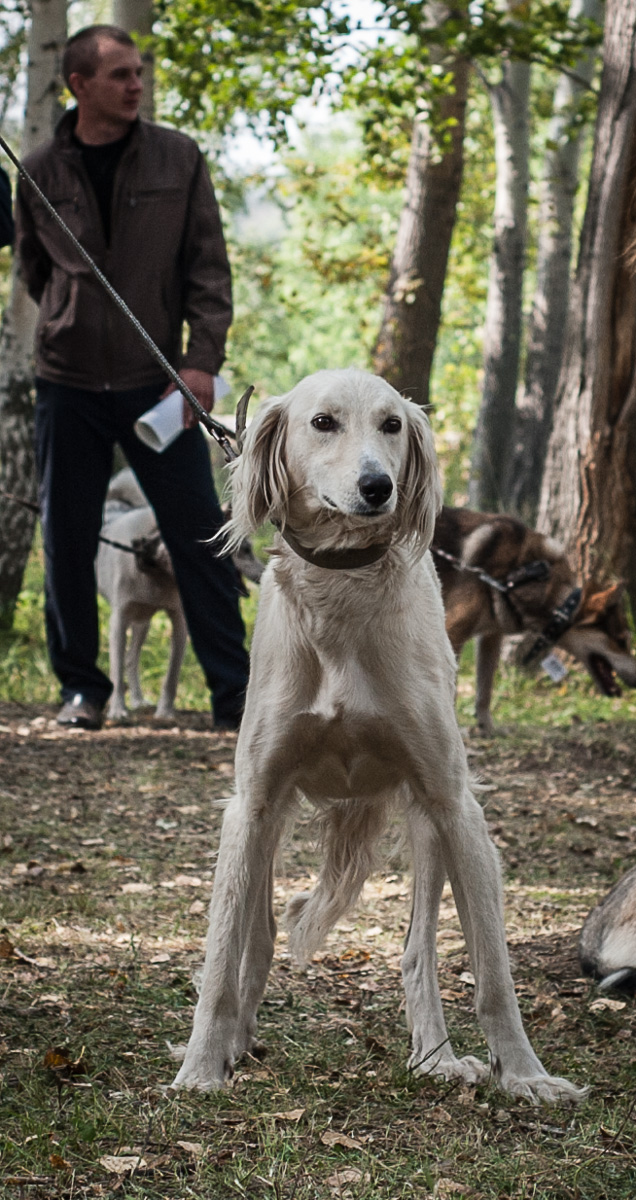 От первого лица