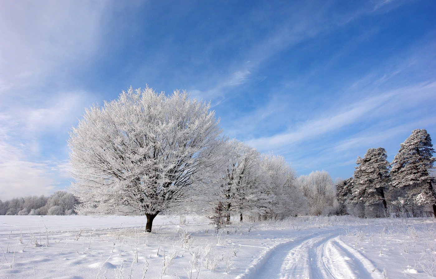 зимнее утро