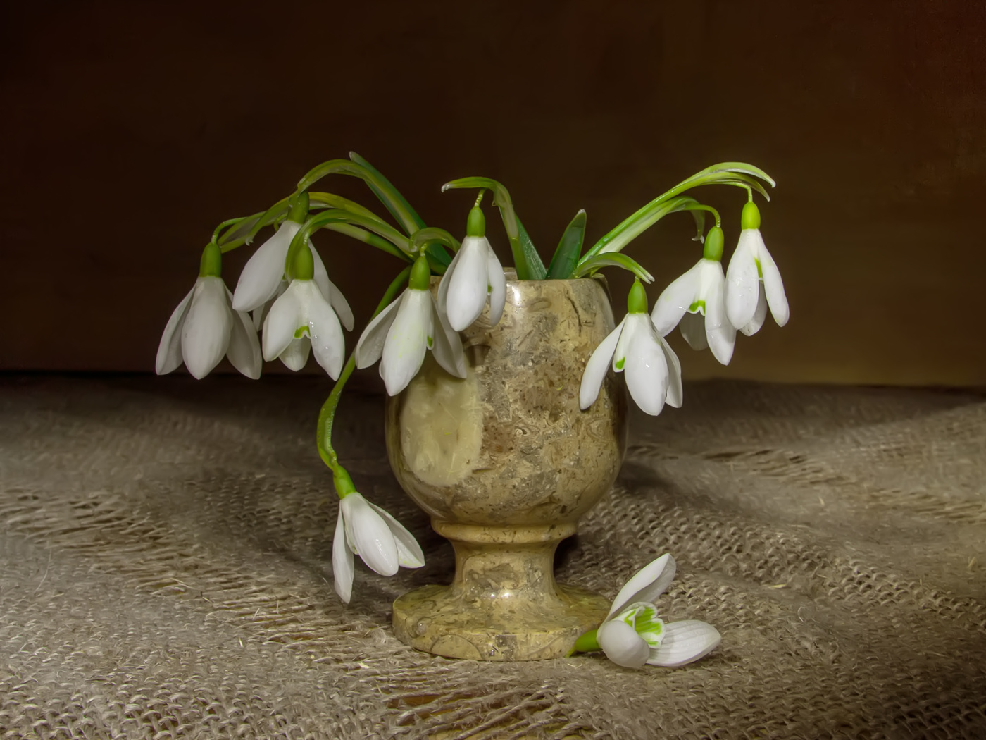 Самые первые...