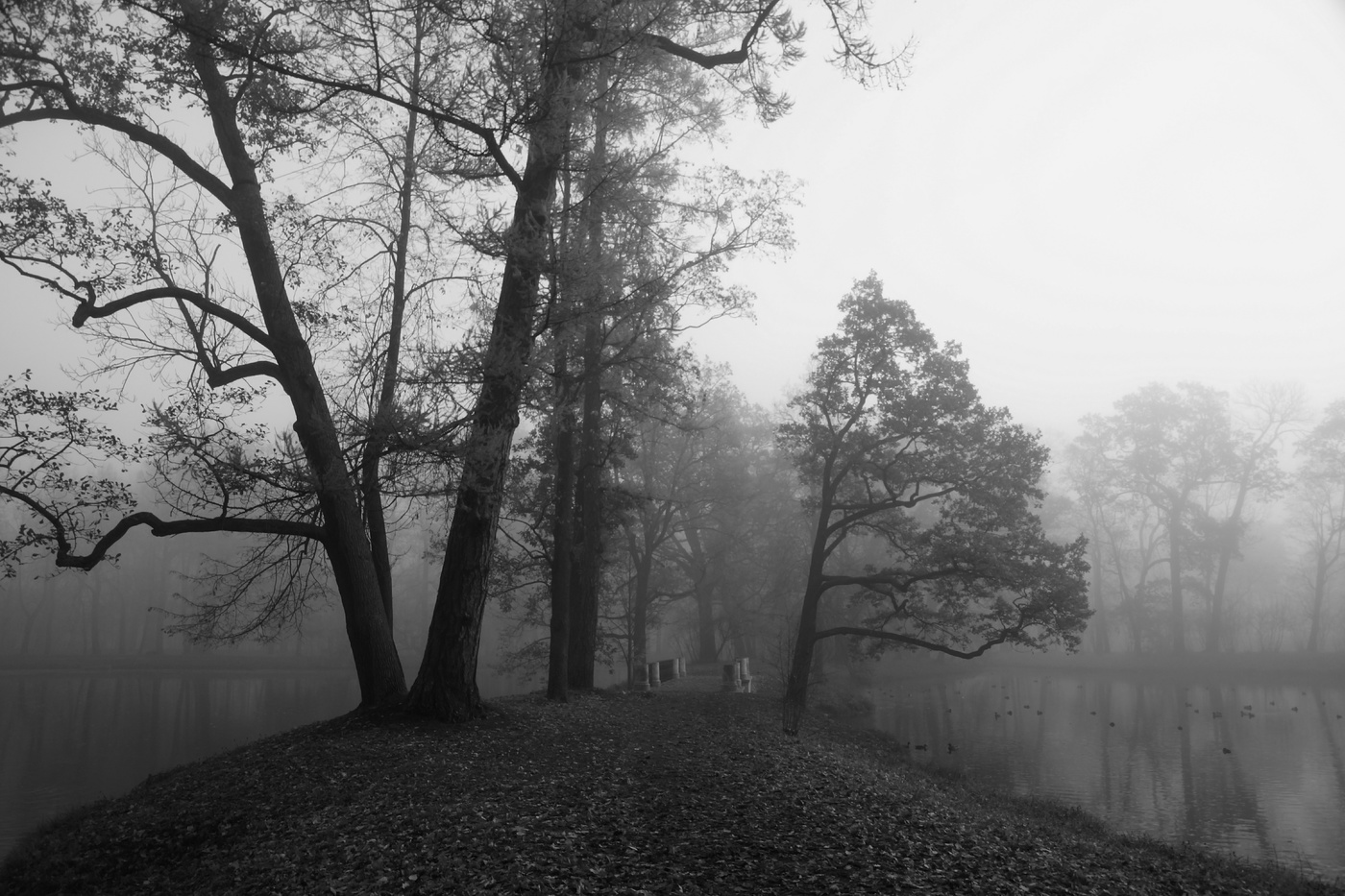 Осеннее утро...