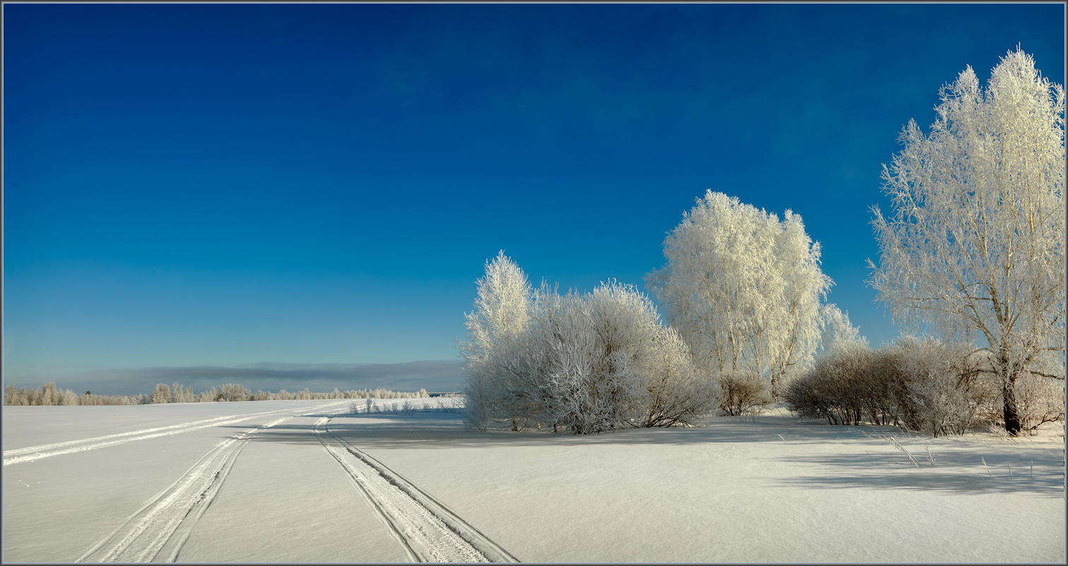 По сибирским просторам