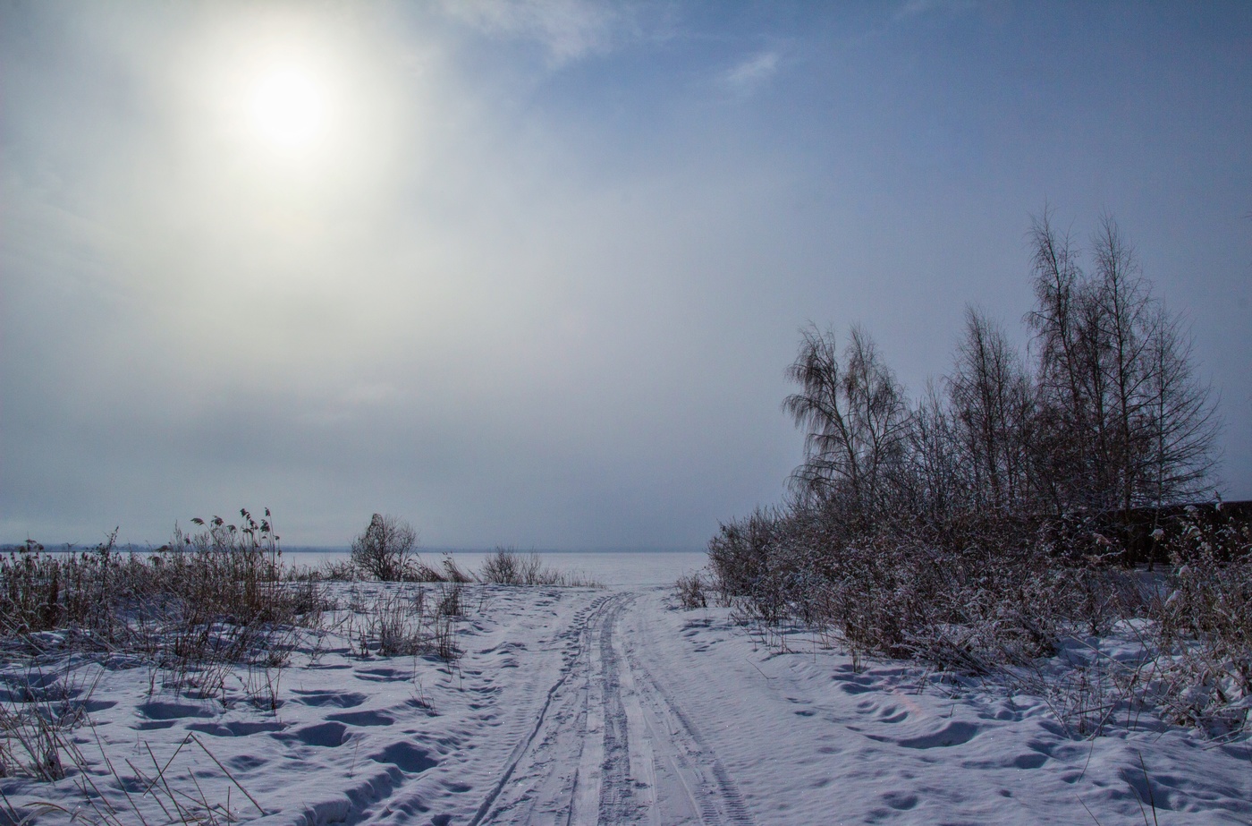 В начале марта