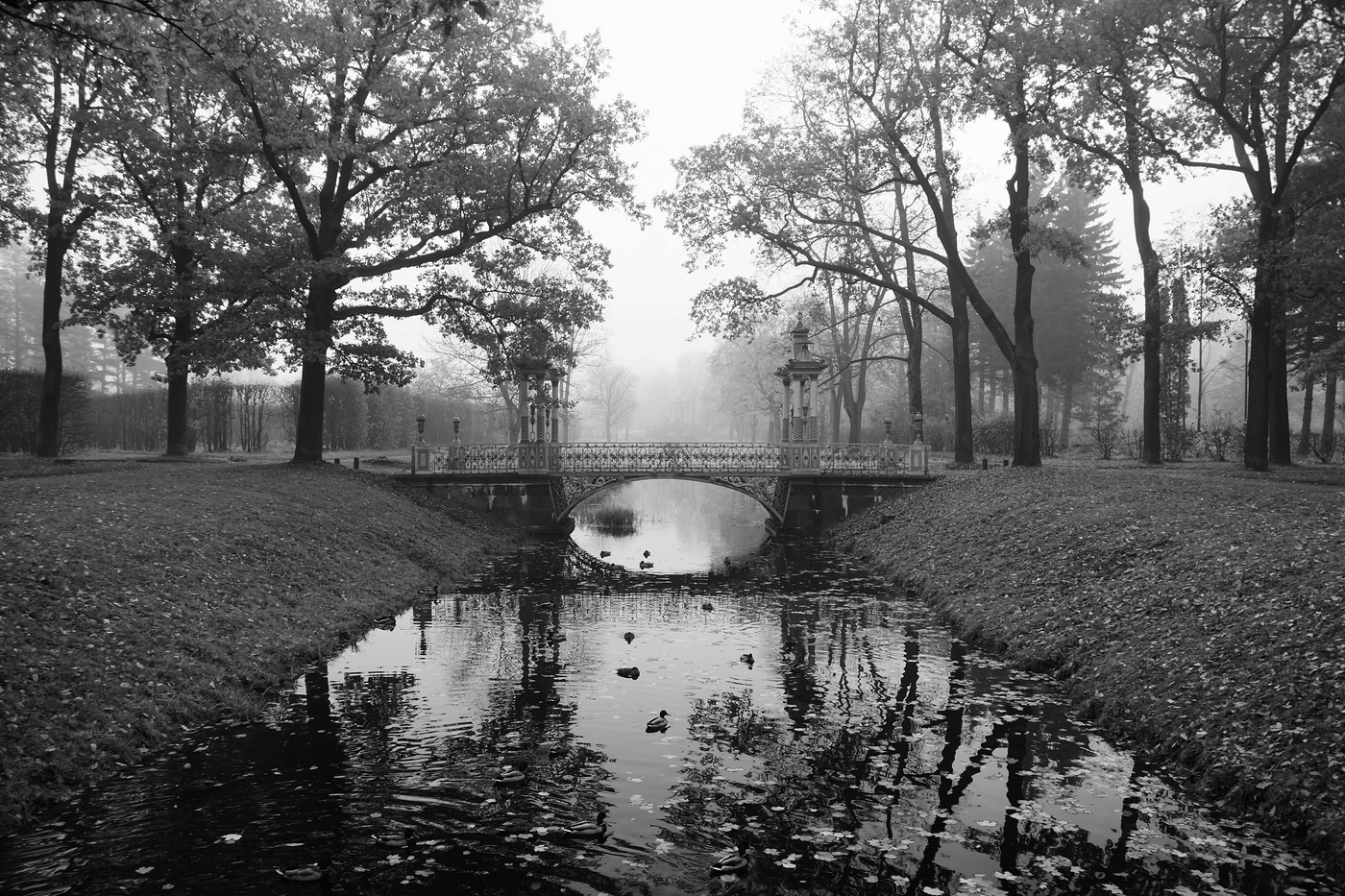 Туманное утро...