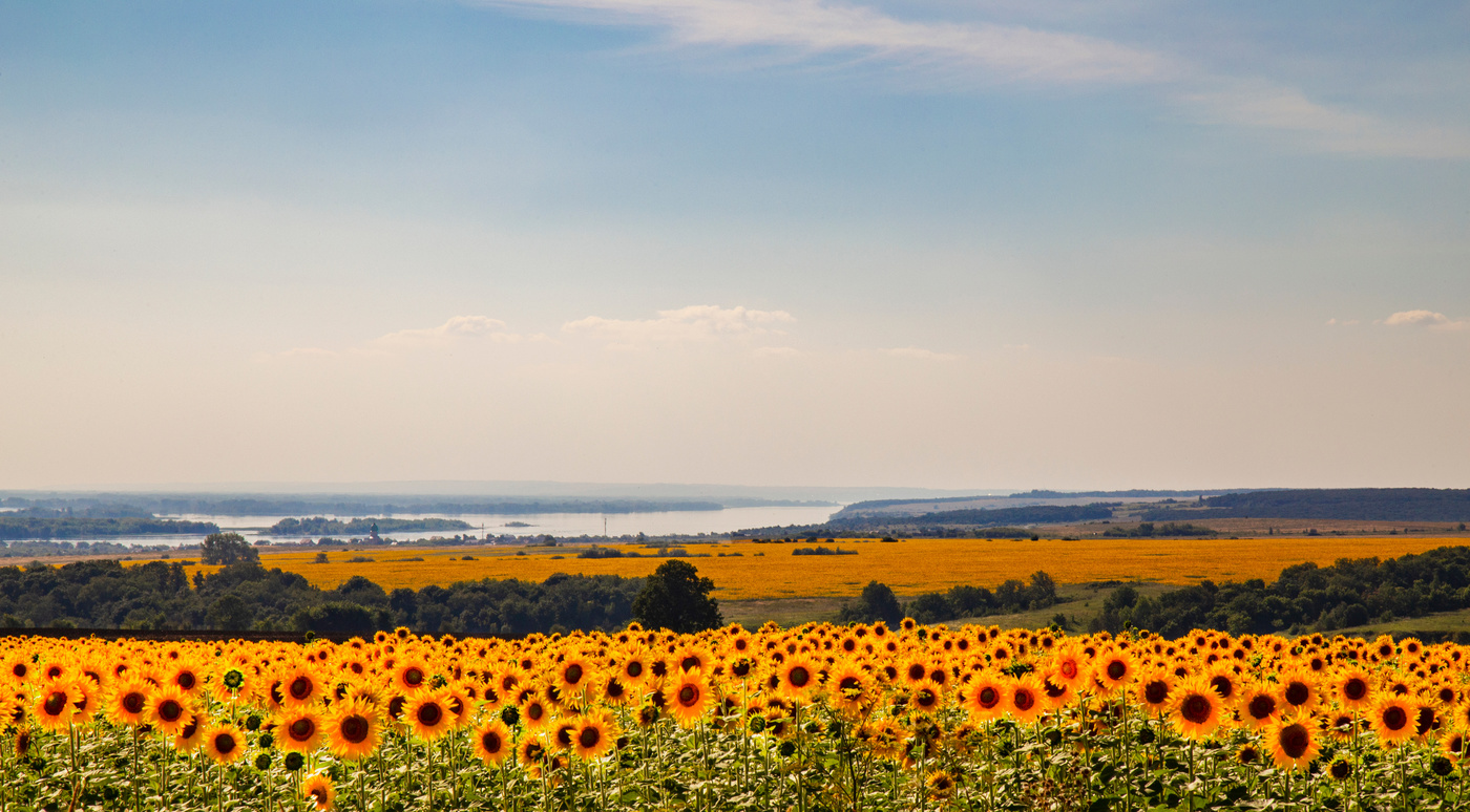 Солнечные поля.