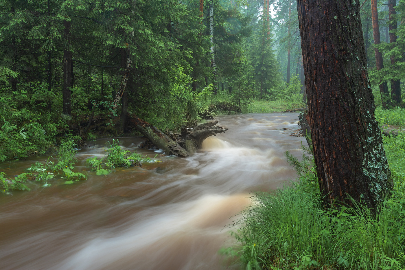 Волшебные струи