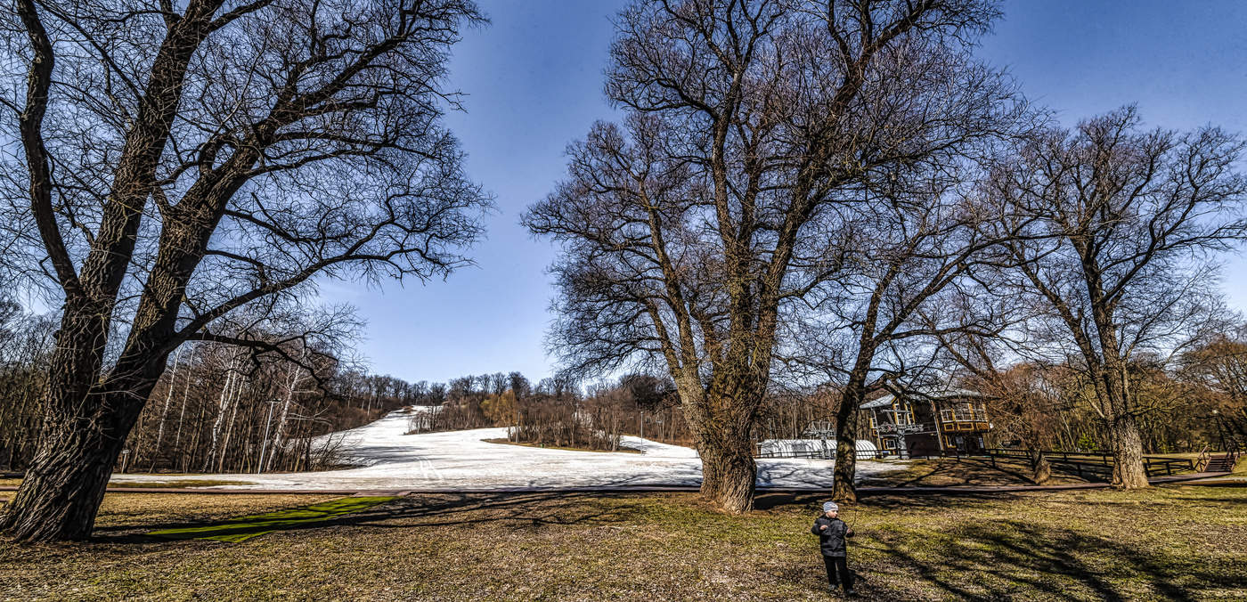 Когда деревья были большими.