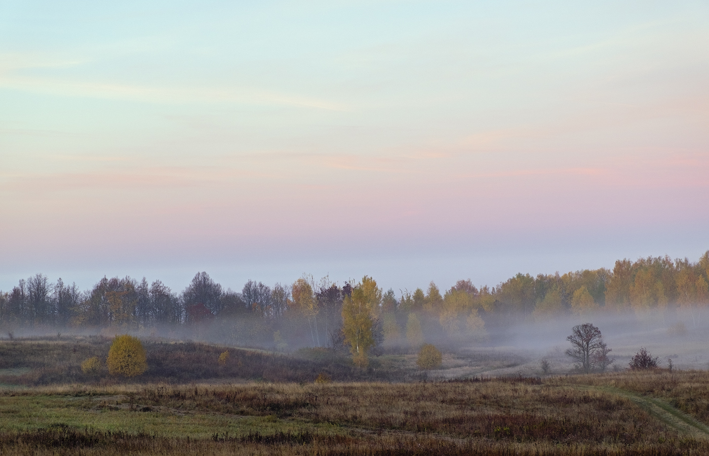 Рассвет на фоне тумана