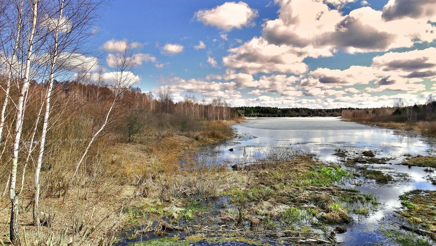 Апрель наступил