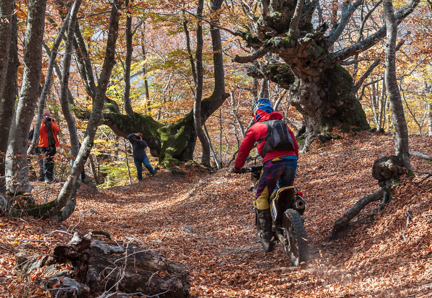 И тут фотографы...
