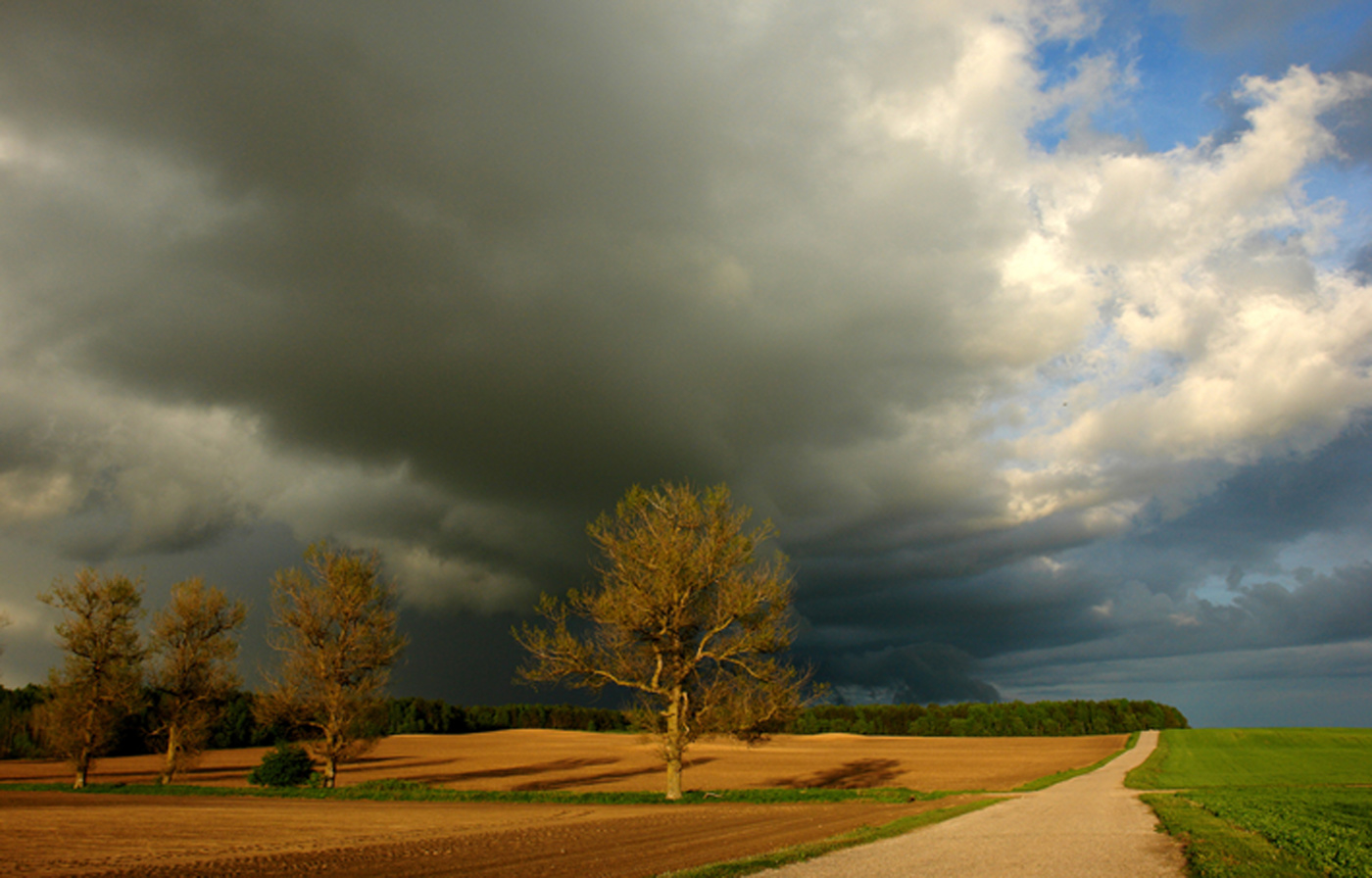 Перед грозой