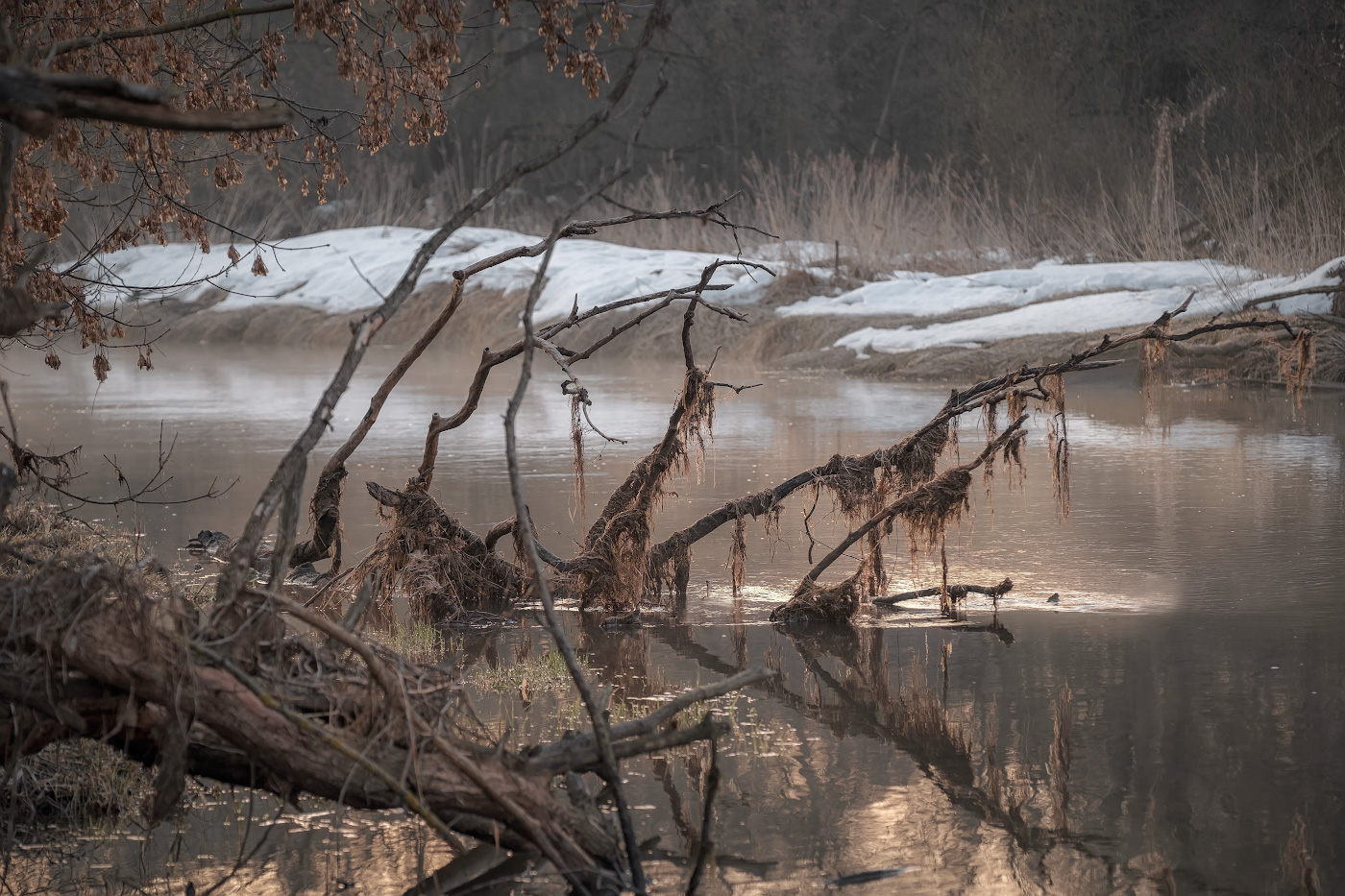 Водяной проснулся