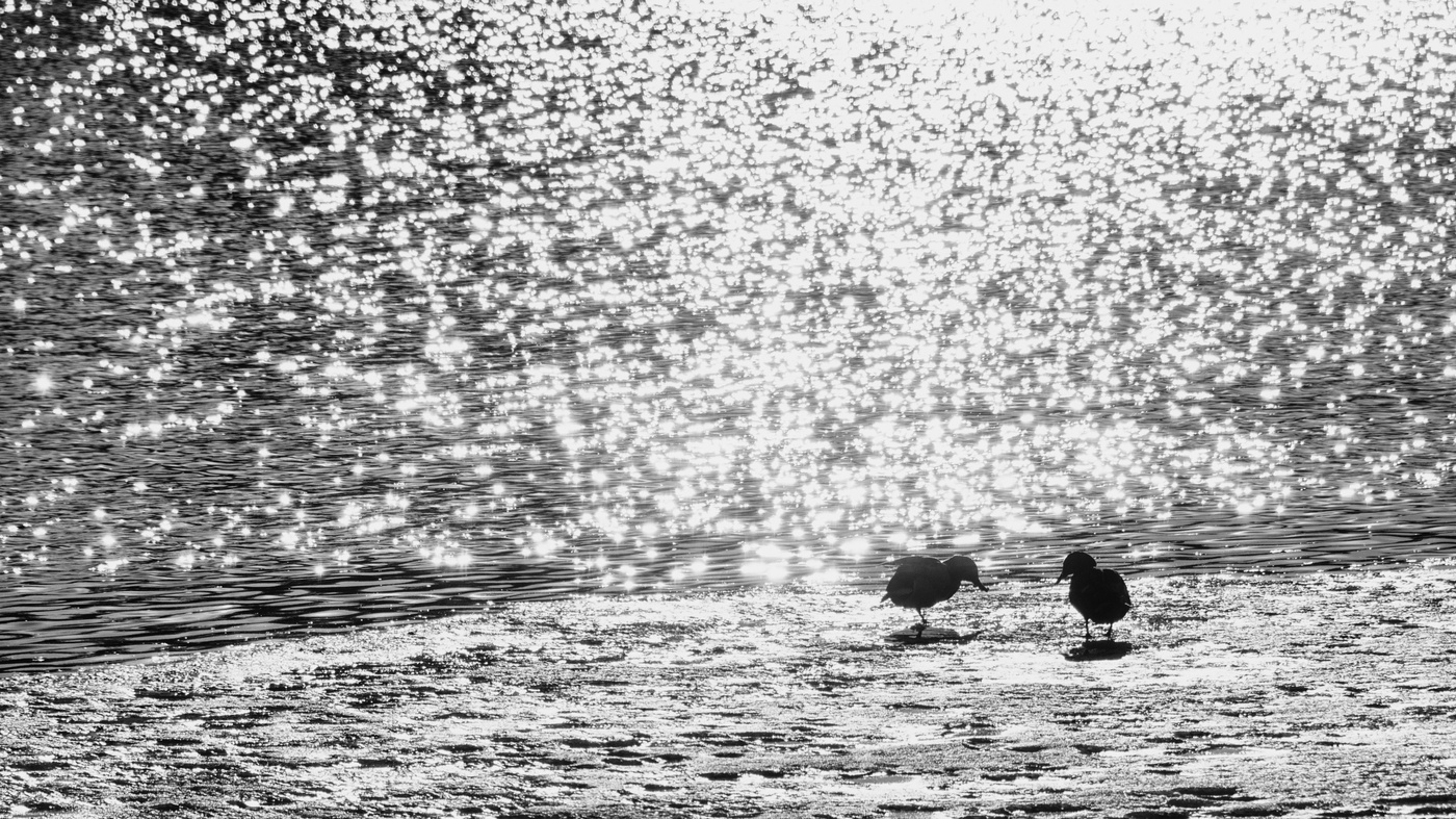 Призраки весны