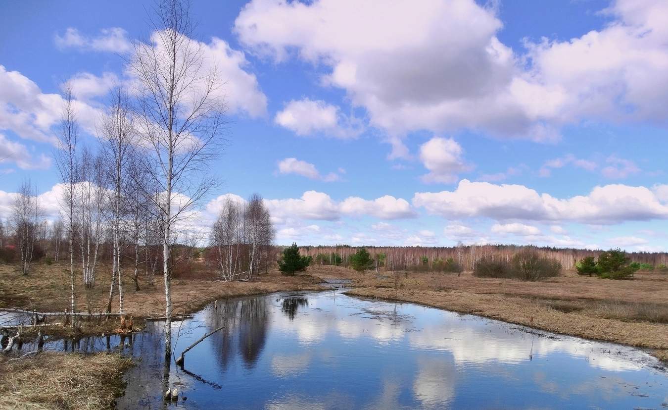 Призраки весны