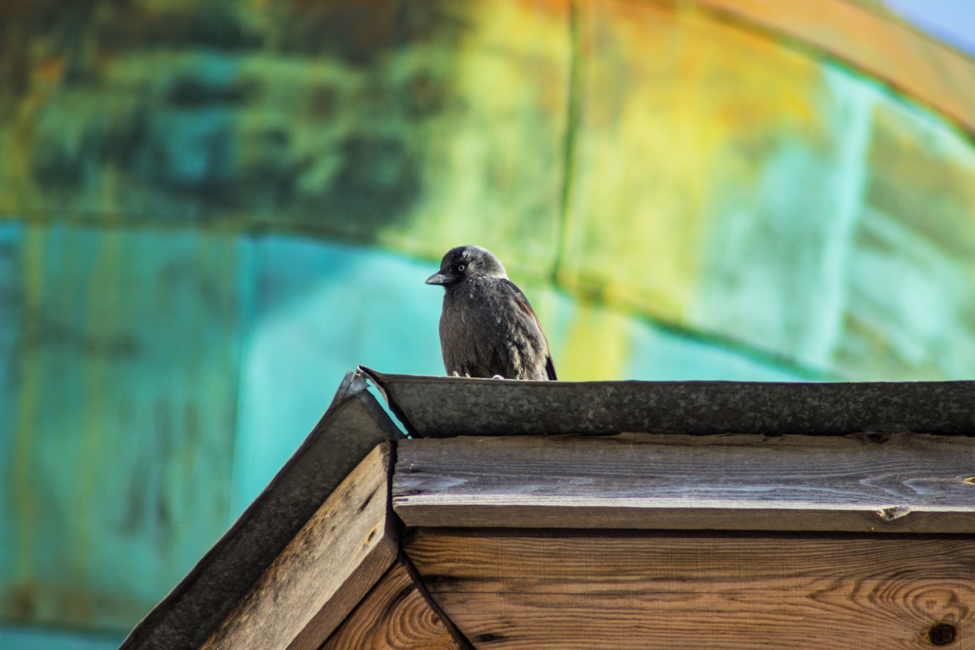 Призраки весны