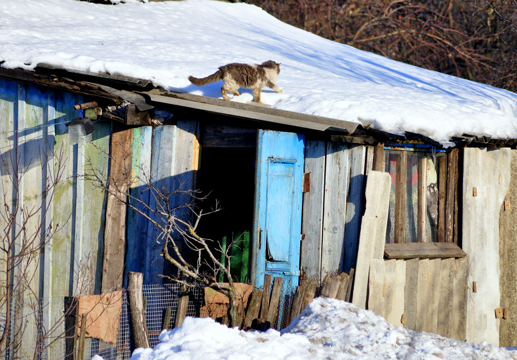 Призраки весны