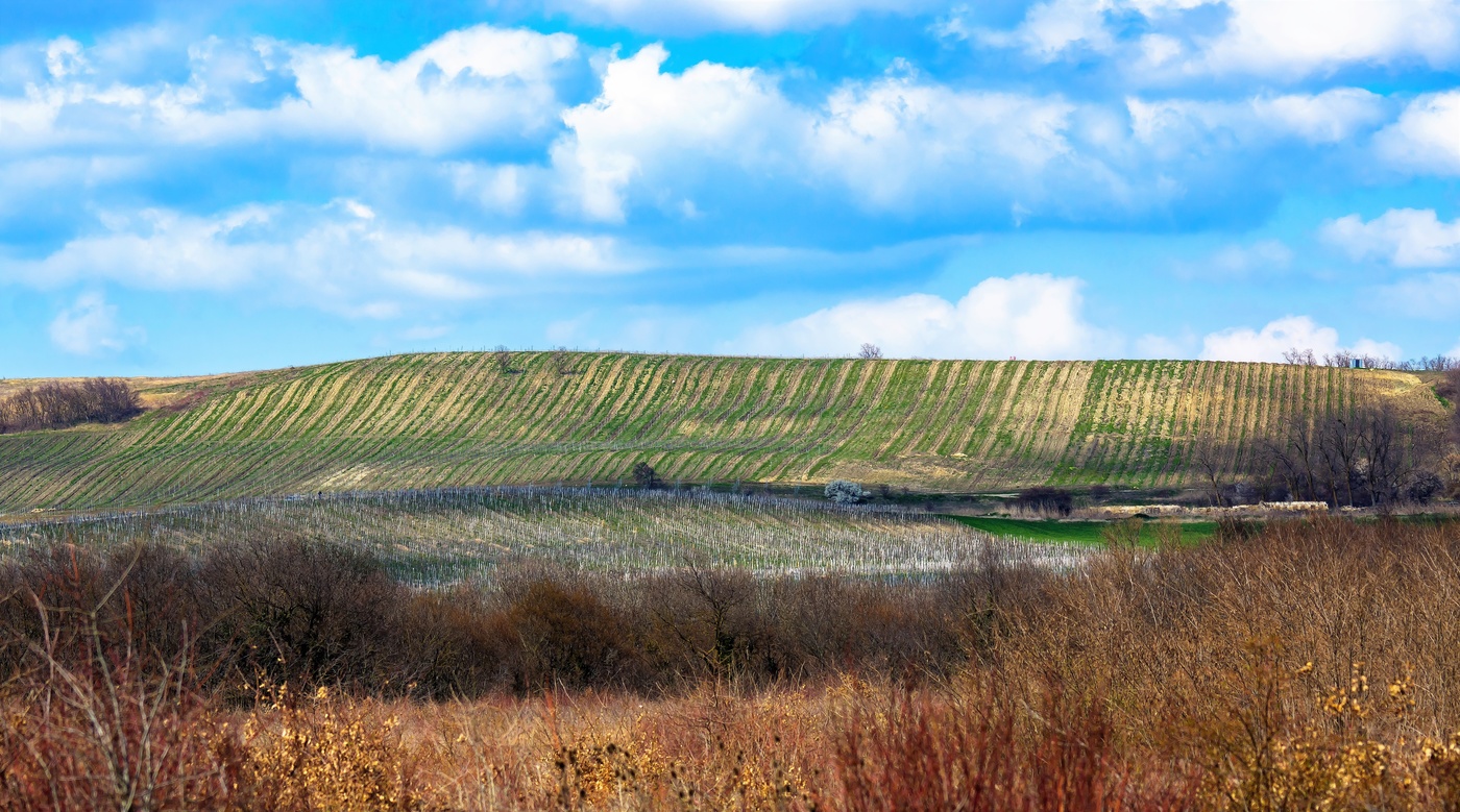 Призраки весны