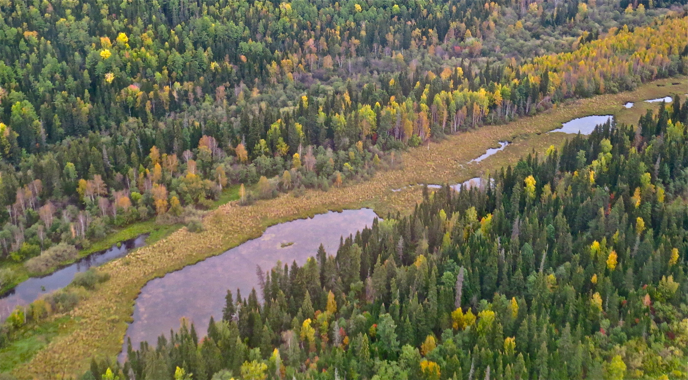 Таёжный край. Мимолётное...