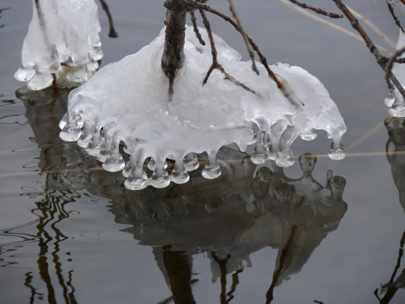 Призраки весны.