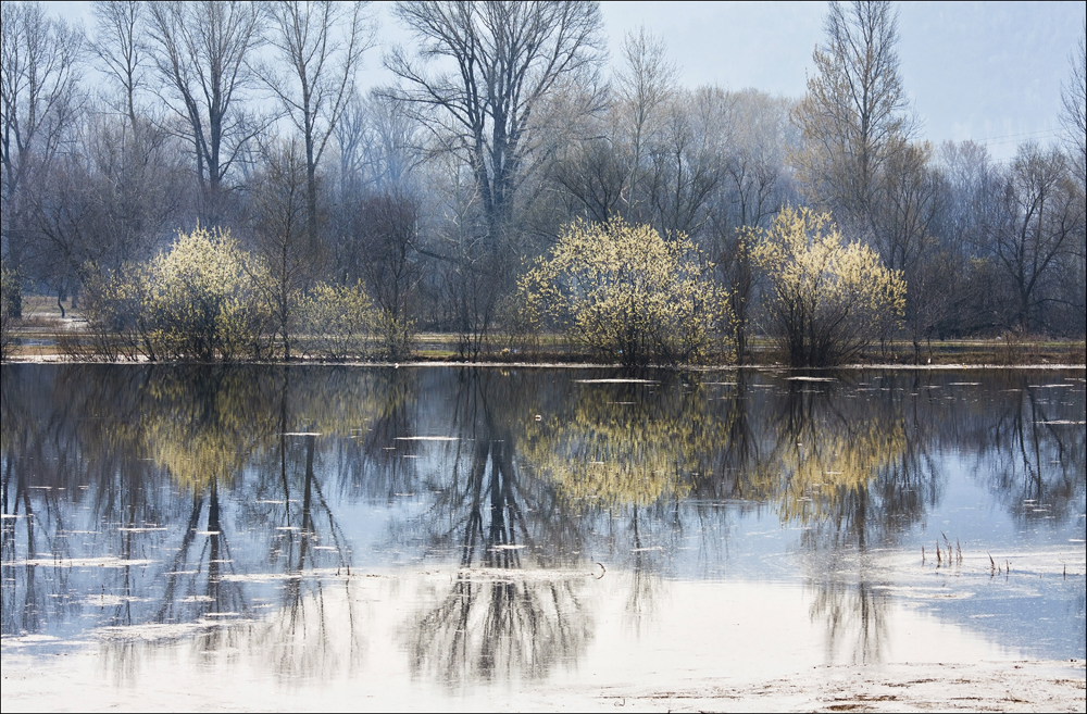 Призраки весны