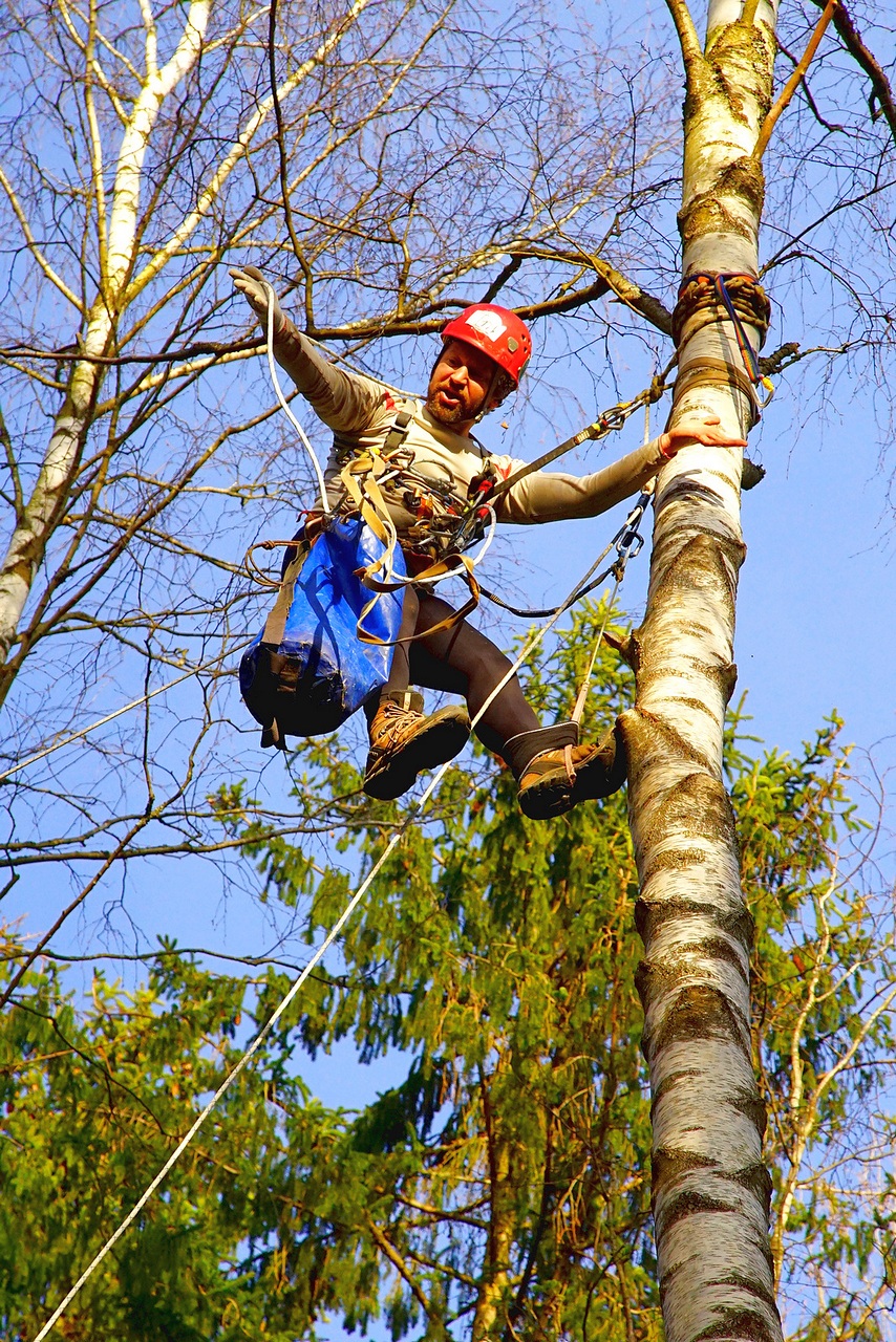 Призраки весны