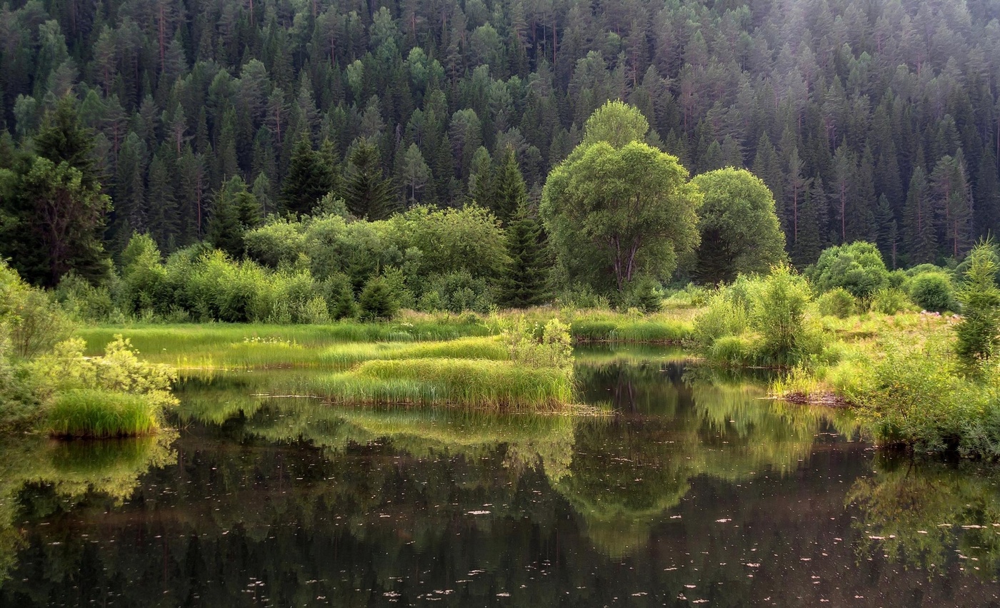 Оттенки зеленого.