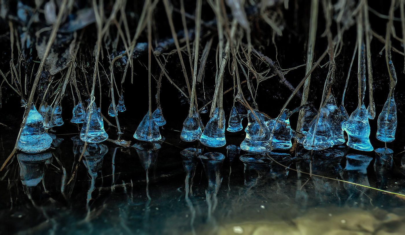 Призраки весны