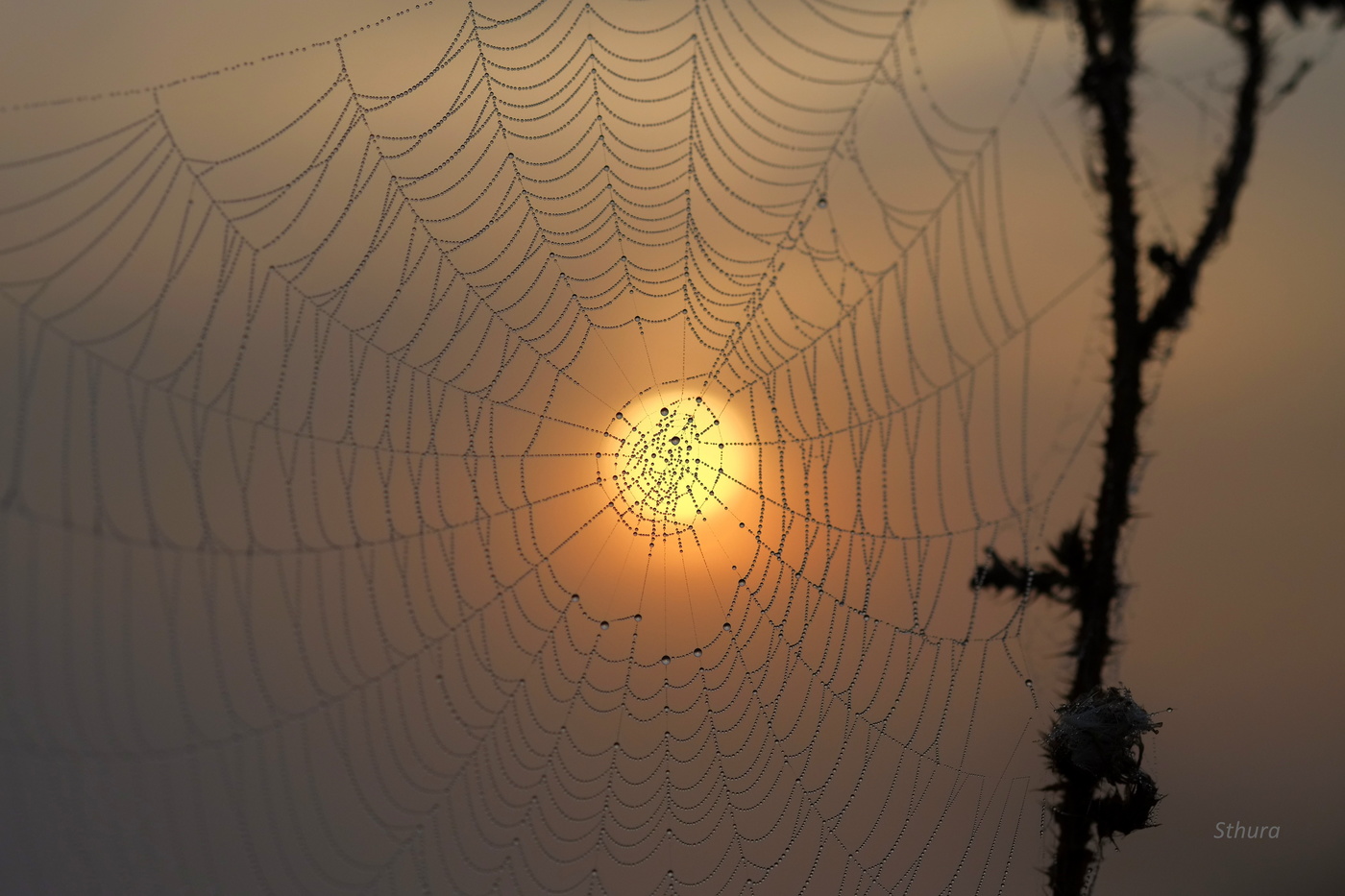 Пятна на Солнце.