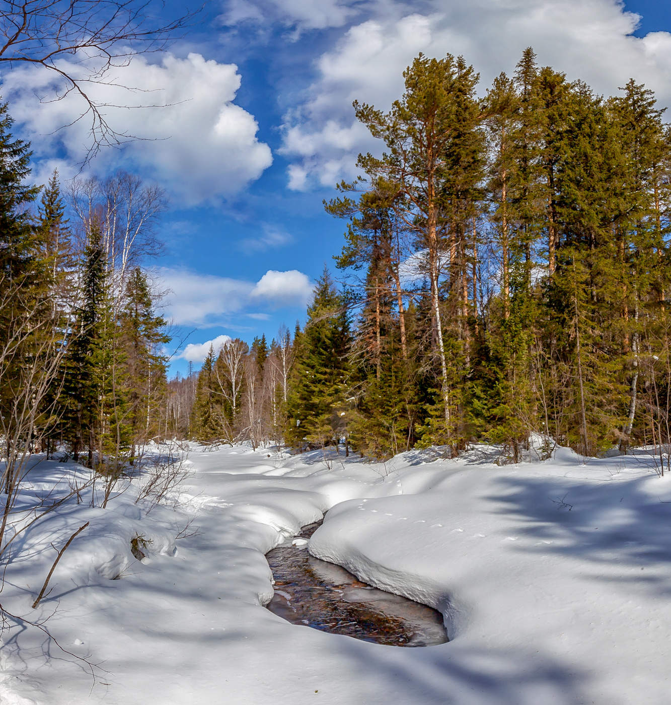 Призраки весны