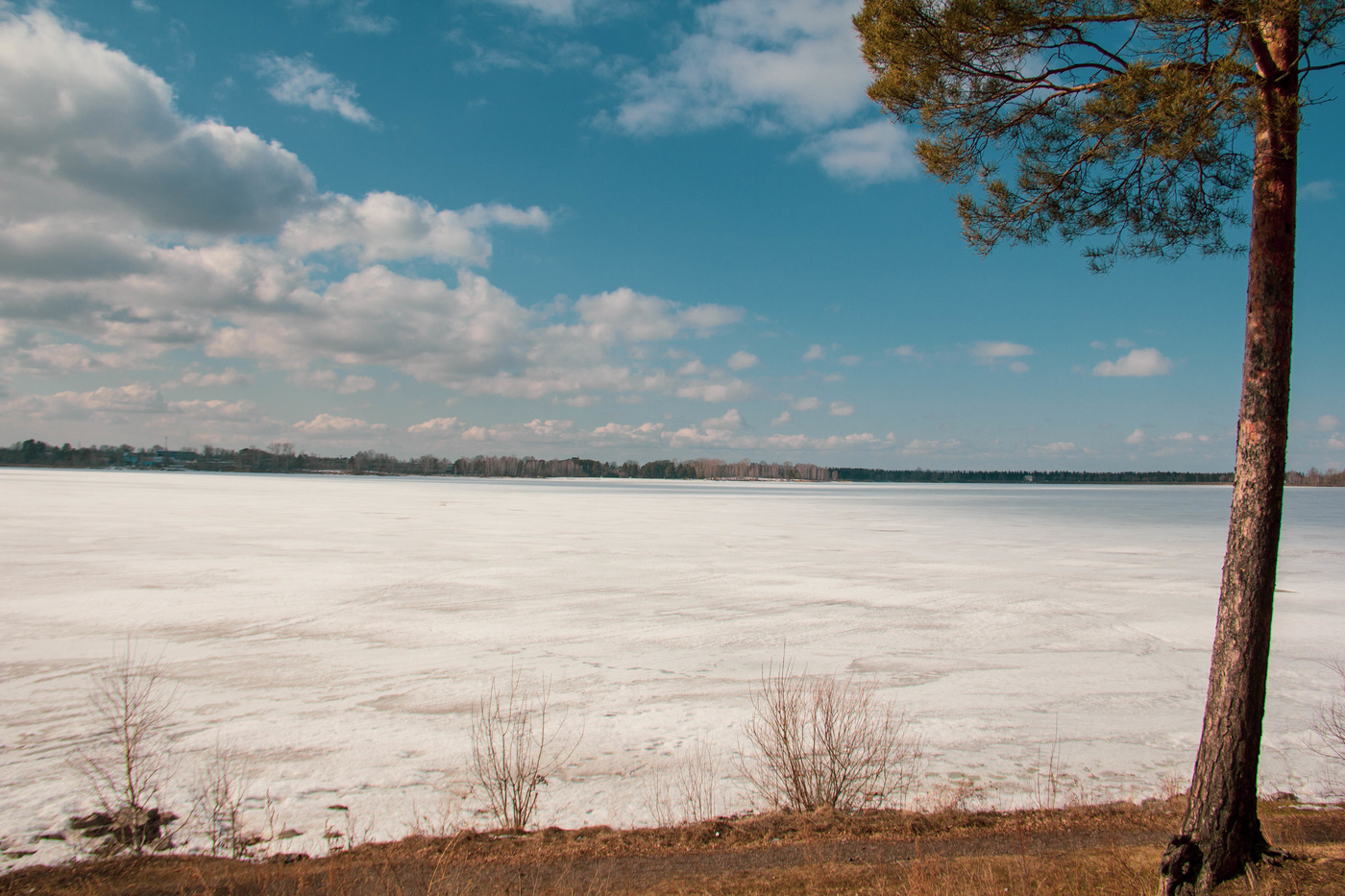 Призраки весны