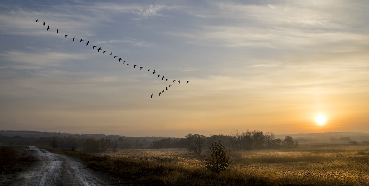 В окружении