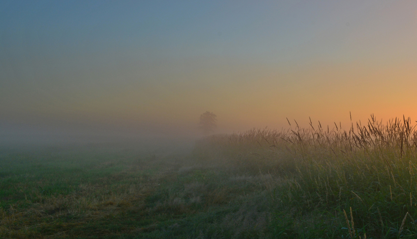 Туманное лето