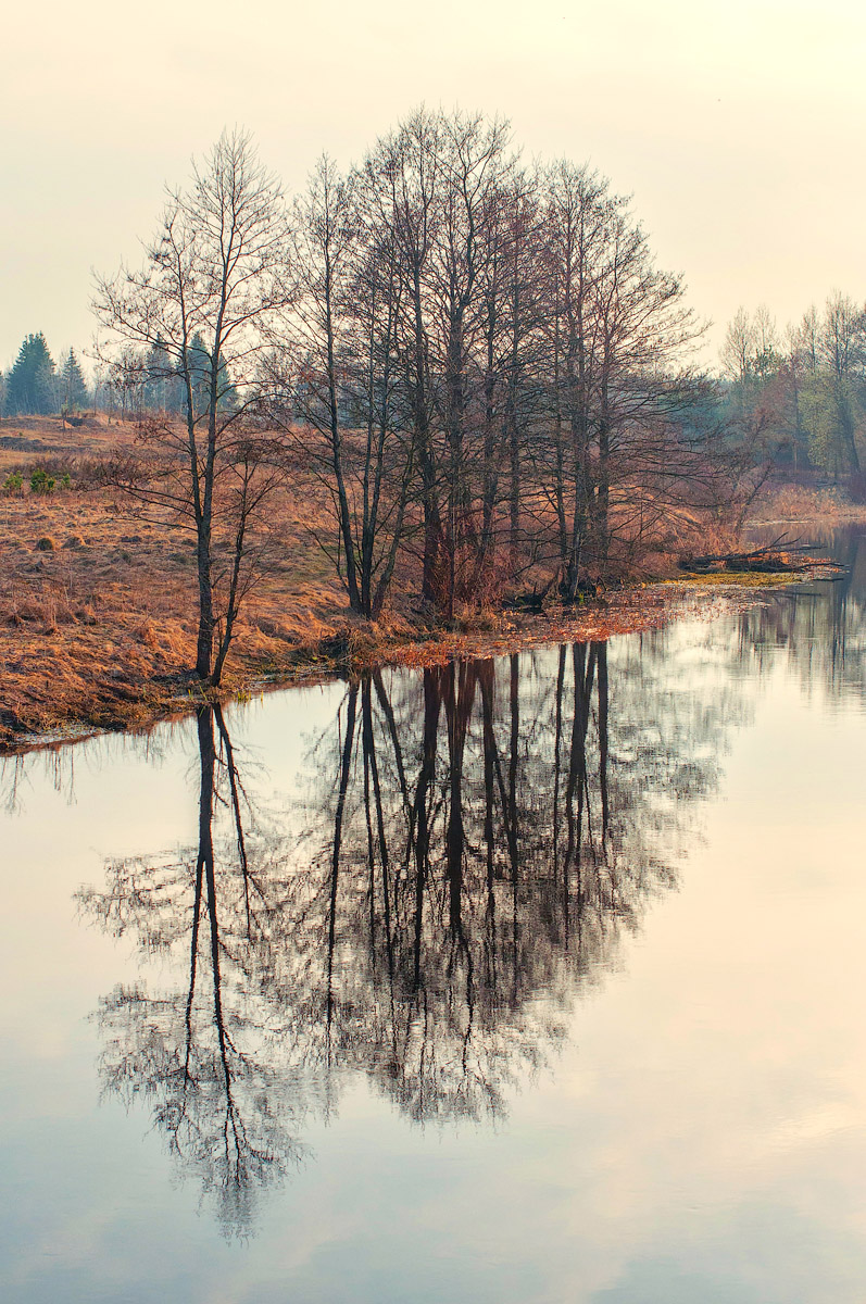 Вясна на Плісе