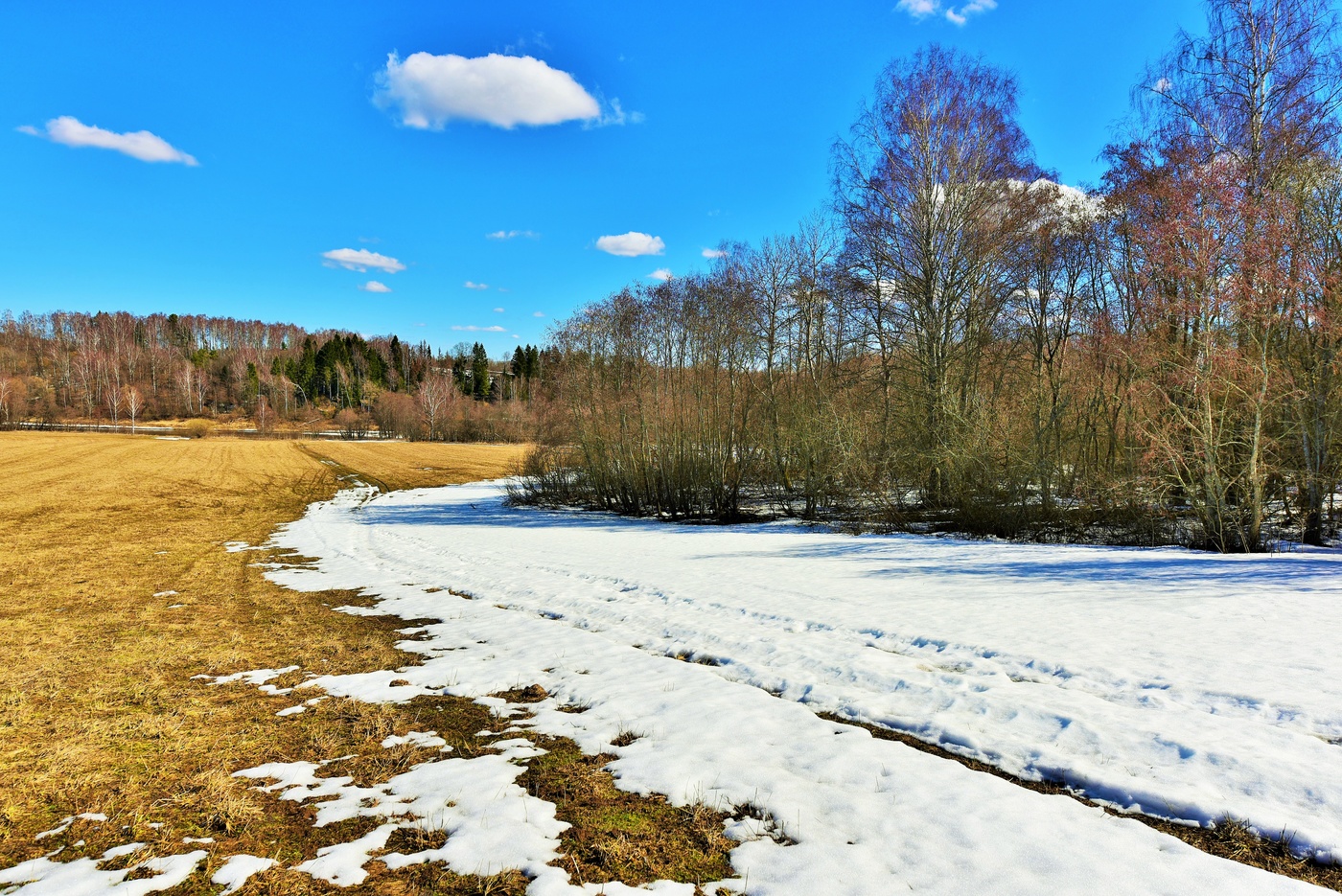 "Ведут зиму на казнь, на теплый эшафот ..."