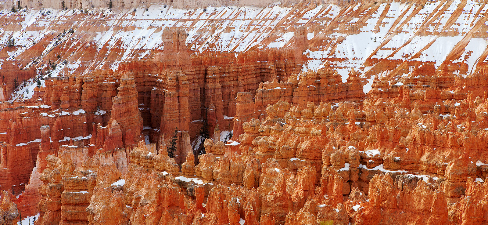 Запорошенная "готика"